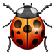 LADY BEETLE