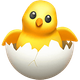 HATCHING CHICK