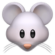 MOUSE FACE