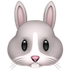 RABBIT FACE