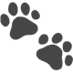 PAW PRINTS