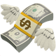 MONEY WITH WINGS