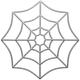 SPIDER WEB