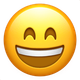 GRINNING FACE WITH SMILING EYES