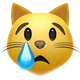 CRYING CAT