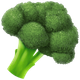 BROCCOLI
