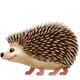 HEDGEHOG