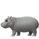 HIPPOPOTAMUS
