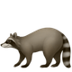 RACCOON
