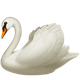 SWAN