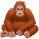 ORANGUTAN
