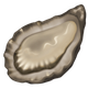 OYSTER
