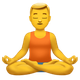MAN IN LOTUS POSITION