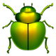 BEETLE