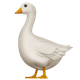GOOSE