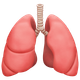 LUNGS