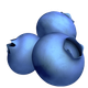 BLUEBERRIES