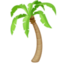 Palm Tree on Facebook