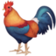 Rooster on Facebook