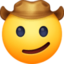 Cowboy Hat Face on Facebook
