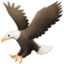 Eagle on Facebook