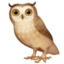 Owl on Facebook