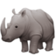 Rhinoceros on Facebook