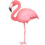 Flamingo on Facebook