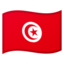 Flag: Tunisia on Google