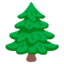 Evergreen Tree on Google