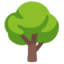 Deciduous Tree on Google