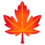 Maple Leaf on Google