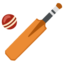 Cricket Game on Google