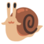 Snail on Google