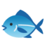 Fish on Google
