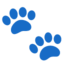 Paw Prints on Google