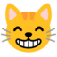 Grinning Cat With Smiling Eyes on Google