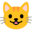 Grinning Cat on Google
