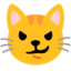 Cat With Wry Smile on Google
