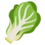 Leafy Green on Google