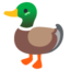 Duck on Google