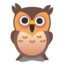 Owl on Google