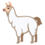 Llama on Google