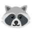 Raccoon on Google