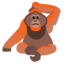 Orangutan on Google