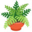 Potted Plant on Google