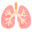 Lungs on Google