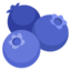 Blueberries on Google