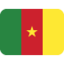 Flag: Cameroon on Twitter