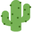 Cactus on Twitter